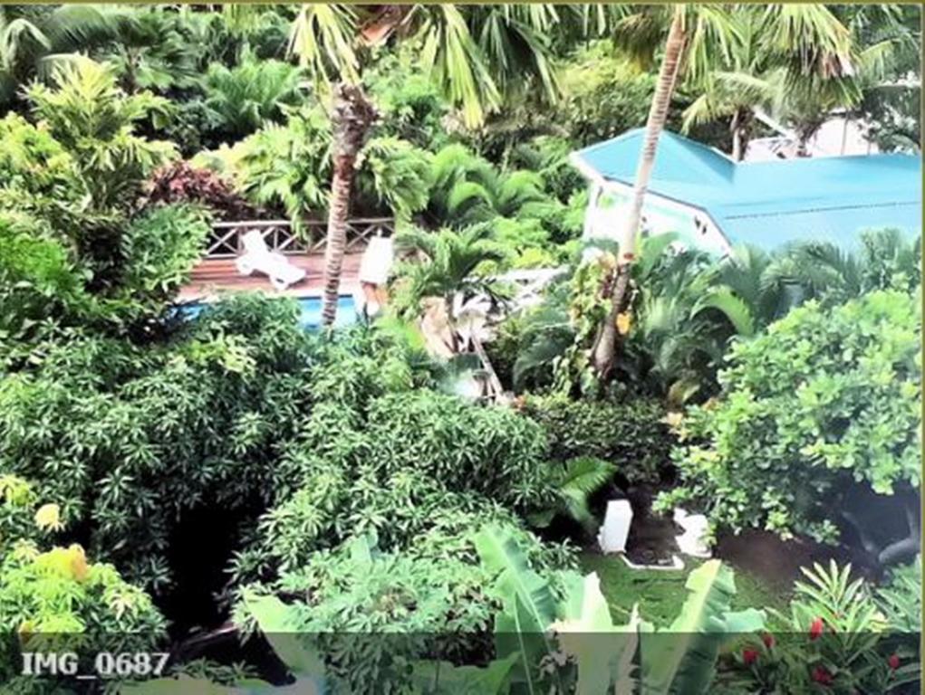 Apartment Espoir Castries Exterior foto